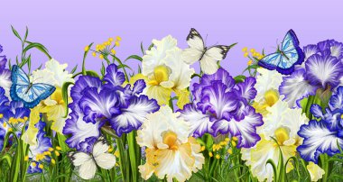 Yatay çiçek sınır. Desen, sorunsuz. Çiçekler süsen ve kelebekler.