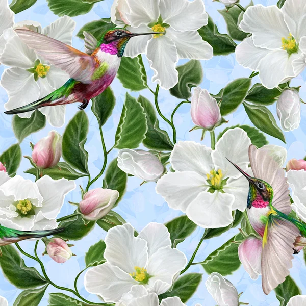 Fondo floreale, motivo, senza soluzione di continuità. Fioritura di primavera. Fiori bianchi. Ramo di fiori di mela bianca e colibrì uccelli . — Foto Stock