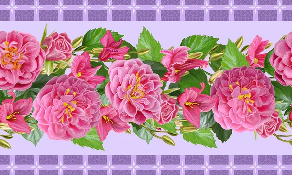 Fond floral. Bordure florale horizontale. Motif, sans couture. composition de roses roses et de cyclamen pourpre. Fond floral . — Photo