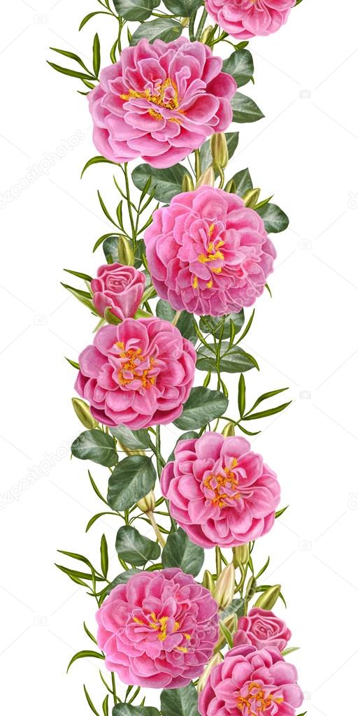 Vertical floral border. Pattern, seamless. Old style. Flower garland of pink roses. Isolated.