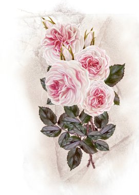 Vintage kartpostal. Eski stil. Buket gül, kamelya pastel bir arka plan üzerinde. Çiçek arka plan.