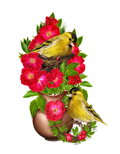 Zwei kleine gelbe Vögel. ein Vogel im Nest. der Strauch der roten Rose in einem Topf. Floraler Hintergrund. alten Stils. isoliert. — Stockfoto