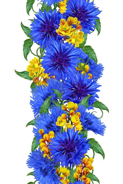 Bouquet aus blauen Kornblumen und gelben Berberitzen. isolierter, weißer Hintergrund. Muster, nahtlos. vertikale florale Grenze. — Stockfoto