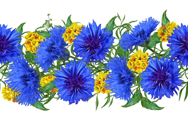 Οριζόντιο περίγραμμα floral. Φαντασία, άνευ ραφής. Μπουκέτο μπλε κενταύριο και κίτρινο οξυάκανθα. Απομονωμένες, λευκό φόντο. — Φωτογραφία Αρχείου