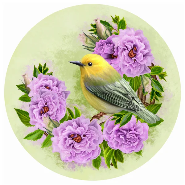 Liten gul fågel på en gren. Blomställning blomma lila rosor. cirkel. Rund form. — Stockfoto