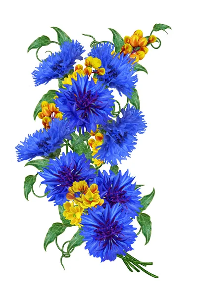 Flower composition. Bouquet of blue cornflowers and yellow barberry. Isolated, white background. — Stock Photo, Image