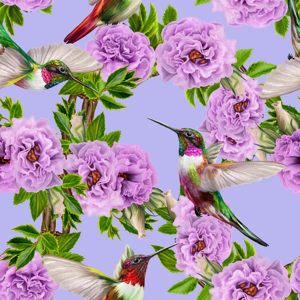 Pattern, seamless.  Floral background. Fine weaving, lace, mosaic. Bouquet of flowers of lilac roses. Little flying bird hummingbirds. — Stock Photo, Image