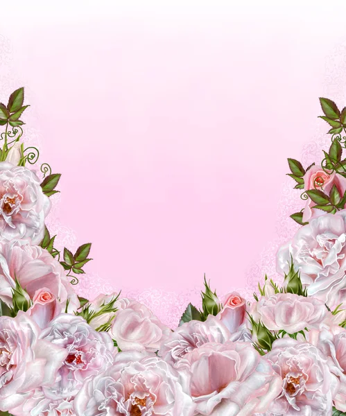 꽃다발. 로사 파스텔, 핑크, 오래 된 스타일. 꽃 구성. — 스톡 사진