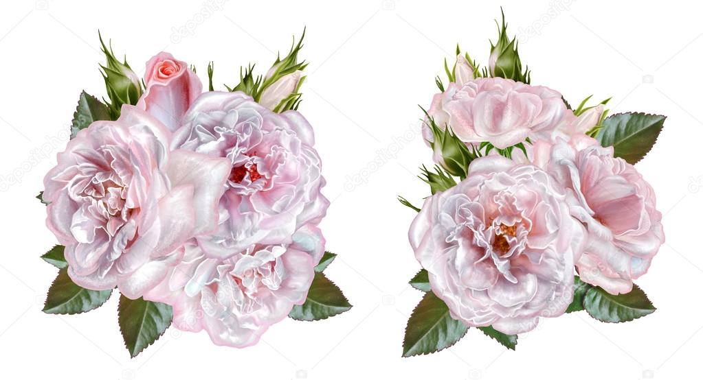 Set. Bouquet of flowers. Rosa pastel, pink, old style. Flower composition. Isolated on white background.