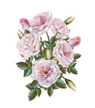 Çiçek kompozisyonu. Pembe güllerden buket. Eski tarz. Izole. Vintage kartpostal.