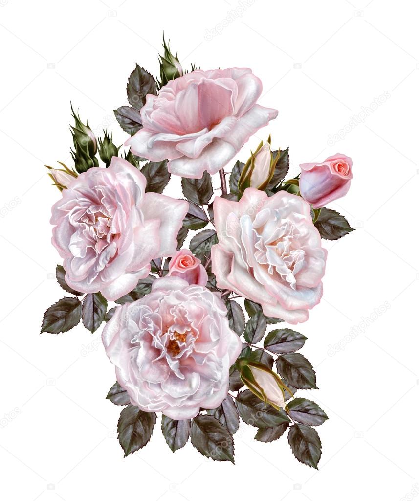 Flower composition. Bouquet of pink roses of pink roses. Old sty