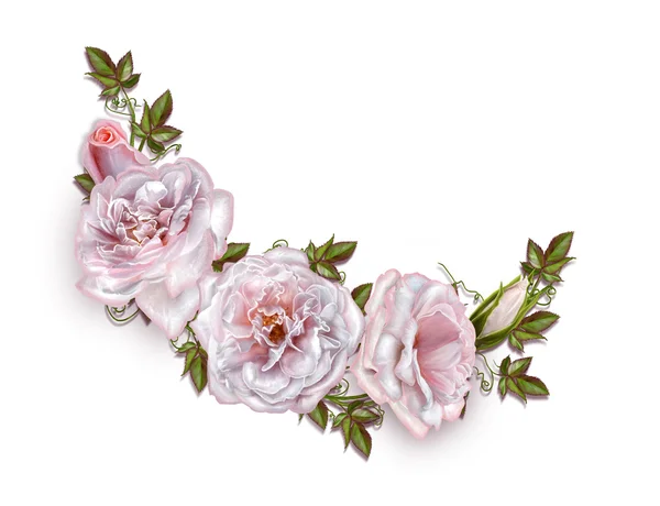 Buquê de rosas rosa e pastel. Composição da flor. Isolado sobre fundo branco — Fotografia de Stock