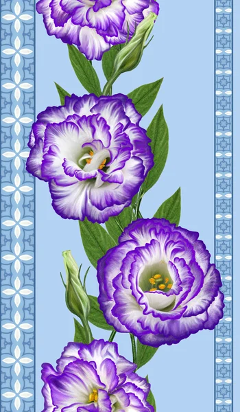 Padrão, sem costura. Borda floral vertical. composição de um buquê de flores eustoma roxo. Rosa irlandesa, lisianthus . — Fotografia de Stock