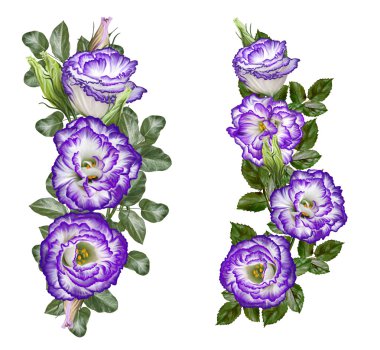 Çiçek kompozisyonu. Leylak buketi, mor eustoma. Beyaz arka planda yalıtılmış