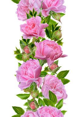 Desen, kusursuz. Eski tarz. Güzel dokuma, mozaik. Vintage arka plan. Dikey çiçek sınırı. Soluk pembe güller çelenk.