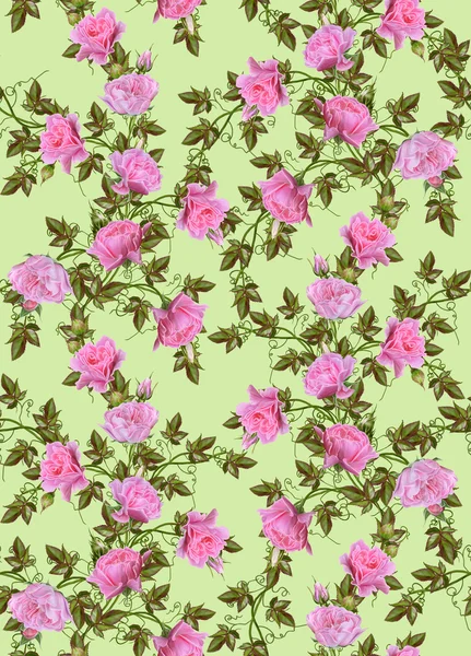 Pattern, seamless. Old style. Bouquet of flowers and pastel pink roses. Floral background. — Stock Photo, Image