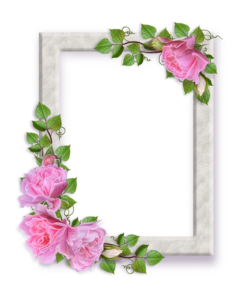 Light wooden frame and pink roses. Flower composition. Photo frame. Isolated on white background. — Stock Photo, Image