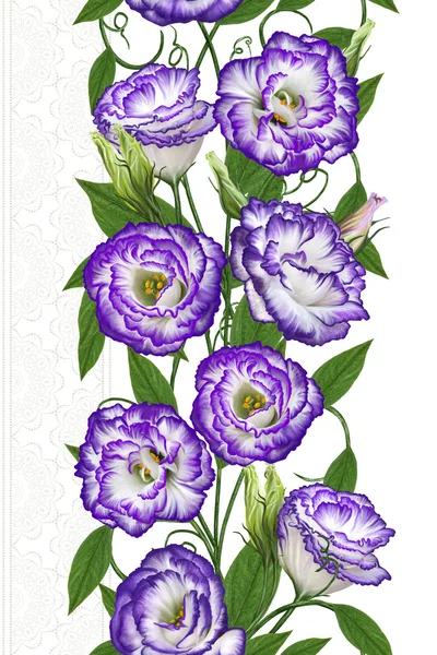 Motif, sans couture. Bordure florale verticale. composition d'un bouquet de fleurs eustoma violet. Isolé . — Photo