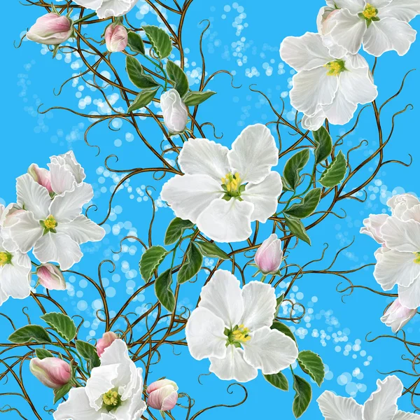 Schema, senza soluzione di continuità. Alla vecchia maniera. Tessitura da ramoscelli. Fioritura di primavera. Fiori bianchi di meli . — Foto Stock