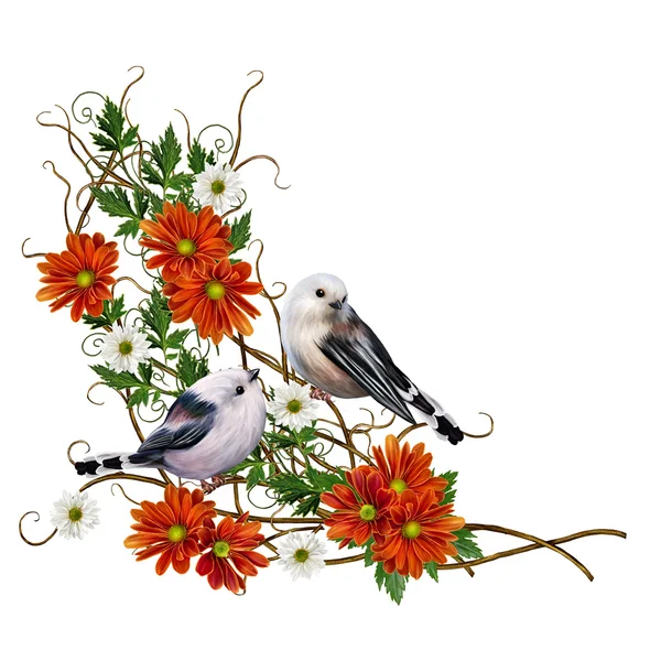 Dallardan dokuma. İki küçük beyaz kuş göğüsleri ve portakal çiçekleri hrizontemy. Sonbahar arka planı. Izole. — Stok fotoğraf