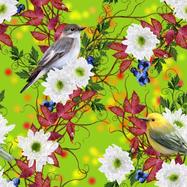 Desen, kusursuz. Sonbahar arka planı. Krizantem çiçekleri beyaz, parlak kırmızı sonbahar yaprakları, ince dalları dokuma, mavi çilek, gri ve sarı kuş.