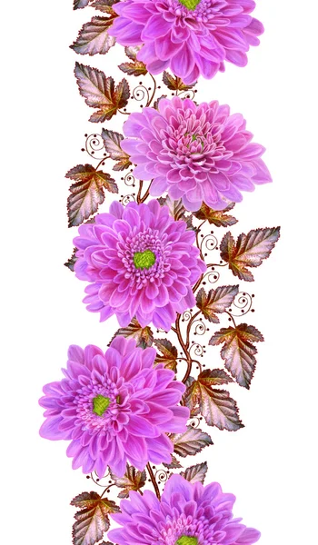 Bordo floreale verticale. Schema, senza soluzione di continuità. Ghirlanda di fiori di crisantemi rosa, bianchi, rossi. Sfondo autunnale. Isolato su sfondo bianco . — Foto Stock