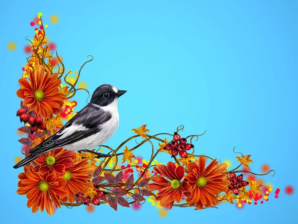 Small black and white bird. composition of interwoven thin branches, orange flowers of chrysanthemums, bright autumn berries, red leaves. Autumn background. — Stock Photo, Image