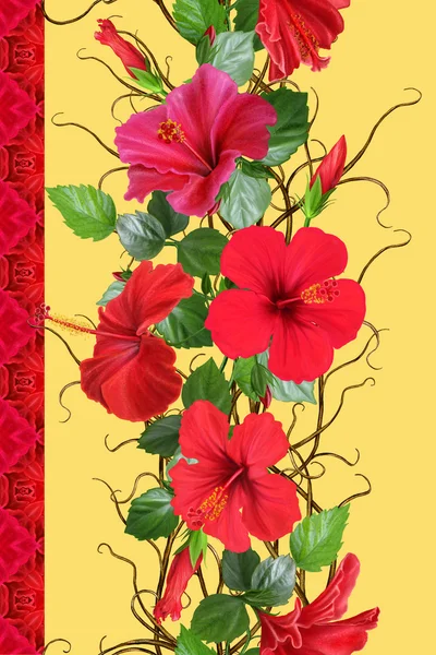 Frontera floral vertical. Patrón, sin costuras. Guirnalda de flores, tejido de ramas delgadas, flores de hibisco tropical rojo. Aislado sobre fondo blanco . — Foto de Stock