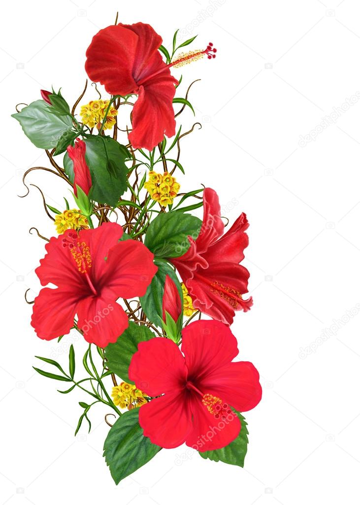 Flower composition. Weaving thin branches. Red hibiscus flowers, green leaves. Isolated.