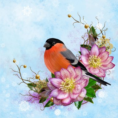Parlak kırmızı kuş bullfinch, pembe çiçek hellebore, dallar, altın süseşyaları, kış arka plan, Noel kompozisyon dokuma. Kış arka planı.