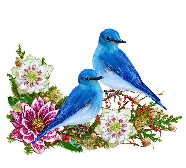 Pájaro azul, ramas tejedoras flor rosa hellebore, copos de nieve de oro, bayas de colores, rosa de Navidad, tarjeta de Navidad. Fondo de invierno. Aislado . —  Fotos de Stock