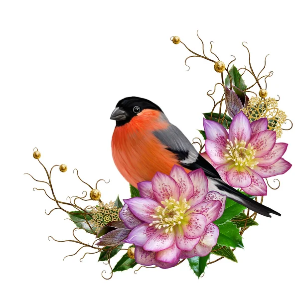 Parlak kırmızı kuş bullfinch, pembe çiçek hellebore, dallar, altın süseşyaları, kış arka plan, Noel kompozisyon dokuma. Kış lık geçmişi. Izole. — Stok fotoğraf