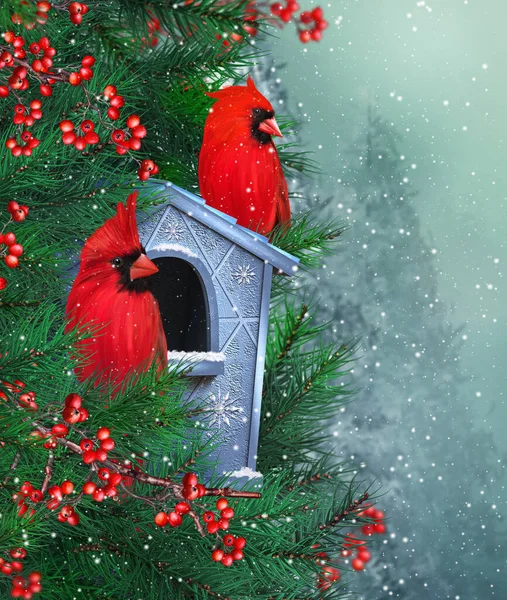 Noel Yeni Yılın Kış Festivali Arka Planı Kırmızı Kuş Kardinali — Stok fotoğraf