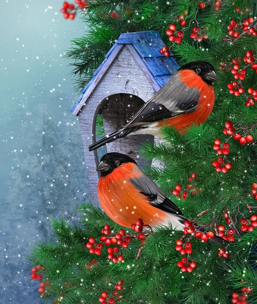 Ano Novo Inverno Fundo Natal Dois Pássaros Bullfinch Sentado Nos — Fotografia de Stock