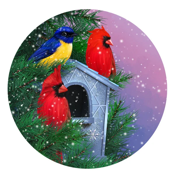 クリスマス 新年の冬のお祝いの背景 赤い鳥の基本 トウヒの枝 美しい鳥の家 フィーダー 夜の照明 3Dレンダリング ラウンドフォームに座って — ストック写真