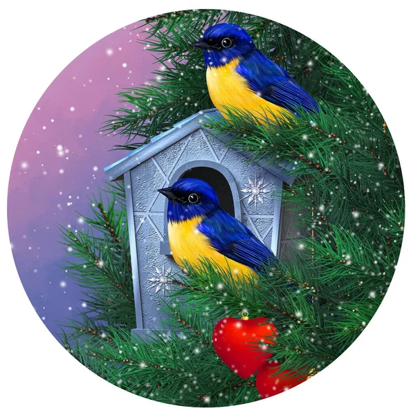 Winter New Year Christmas Background Two Birds Tit Sit Branches — 스톡 사진