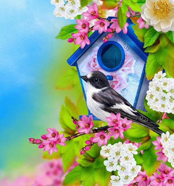 Sommer Frühling Bunte Helle Hintergrund Ein Vogel Sitzt Auf Einem — Stockfoto
