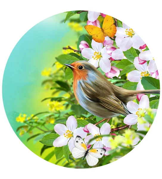 Fågel Titmouse Sitter Gren Blommande Äppelträd Vita Vårblommor Knoppar Fjäril — Stockfoto