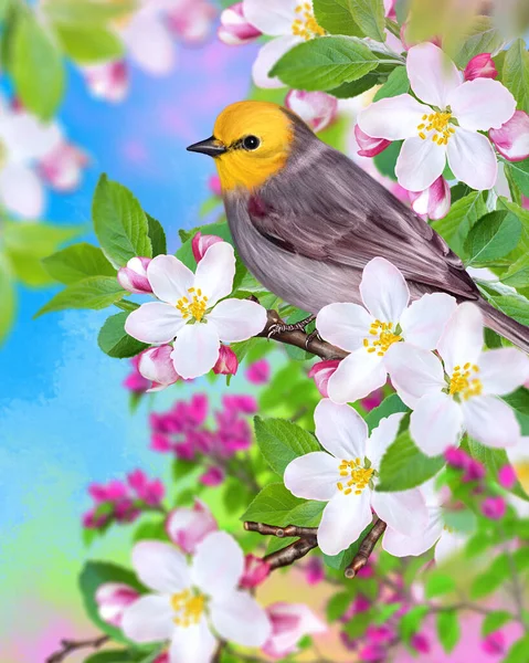 Весенний Солнечный Фон Птица Сидит Ветке Цветущей Розовой Яблони Мягкий — стоковое фото