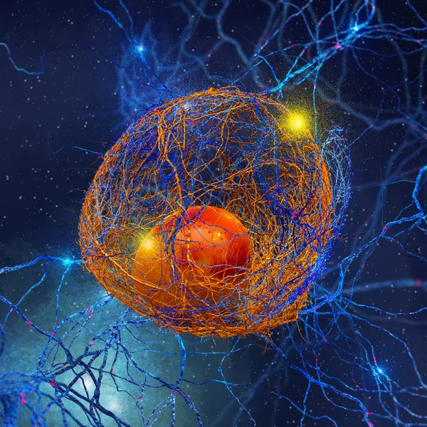 Cobweb on brain Stock Photos, Royalty Free Cobweb on brain Images