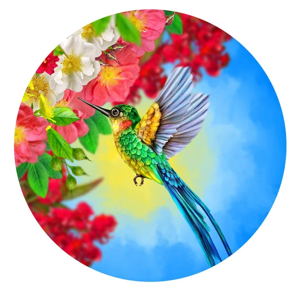 Zomer Lente Heldere Zonnige Achtergrond Een Kolibrie Vliegt Takken Van — Stockfoto