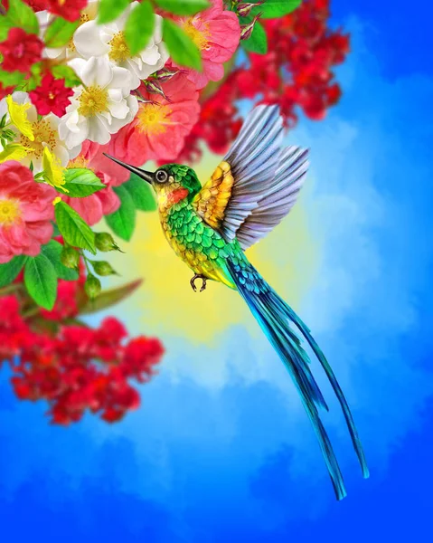 Léto Jaro Jasné Slunečné Pozadí Kolibřík Létá Větve Stromu Kvetoucí — Stock fotografie