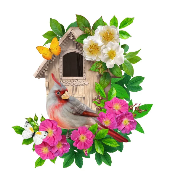 春の明るい晴れた背景 鳥は白い背景に隔離されたピンク 白い犬バラ 鳥の家の枝に座っています — ストック写真
