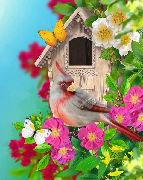 Primavera Verão Ensolarado Fundo Brilhante Pássaro Cardeal Senta Ramo Rosa — Fotografia de Stock