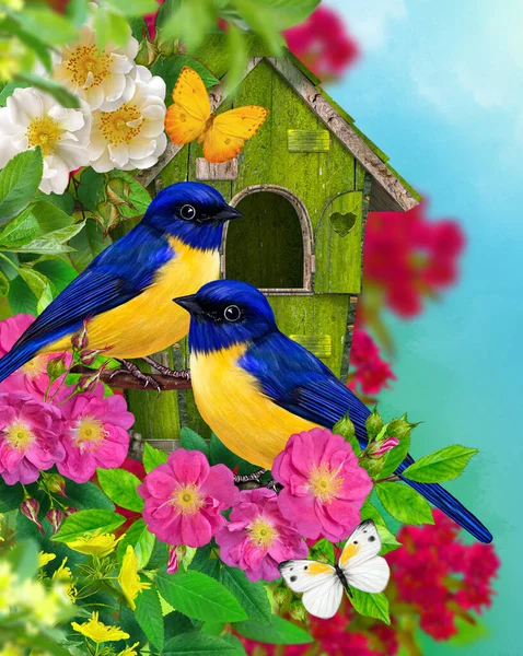 Frühling Sommer Sonniger Heller Hintergrund Zwei Meisenvögel Sitzen Auf Einem — Stockfoto