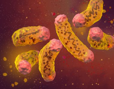 Tıbbi geçmiş, plazmid ve ribozomlu veba bakterisi, Yersinia pestis, 3D görüntüleme.