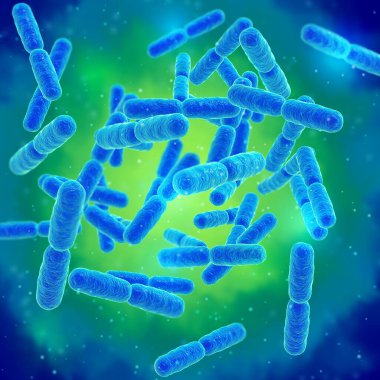 Probiyotik yararlı bakteriler, normal bağırsak mikroflorası, probiyotik olarak kullanılan mikroorganizmalar, yoğurtlar, sağlıklı yiyecekler, laktobacillus, Bifidobacterium, 3D görüntüleme