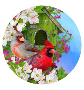 Yaz, bahar rengarenk arka plan, bir kuş çiçek açan bir ağacın dalına oturur, pembe, kırmızı, beyaz çiçekler, kuş evi, güneşli gün, 3D rengarenk, yuvarlak form