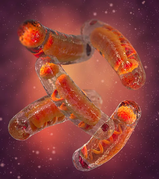 Medische Achtergrond Plagen Bacteriën Met Plasmiden Ribosomen Yersinia Pestis Rendering — Stockfoto