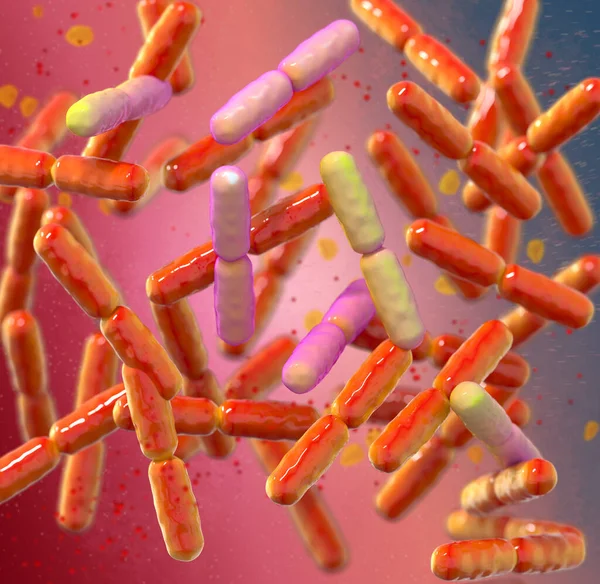 プロバイオティクス有益な細菌 通常の腸内細菌叢 プロバイオティクスとして使用される微生物 ヨーグルト 健康食品 ラクトバチルス ビフィズス菌 3Dレンダリング — ストック写真